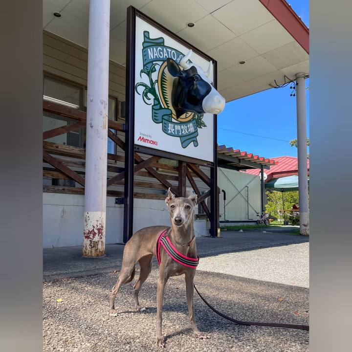 290680fc efc6 43f7 9dbd 3196f75a3b11 1758282228886