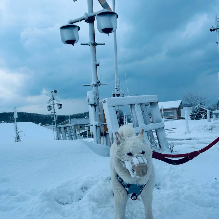 2906c134 b81f 449b 8240 9a95fb74d15f 1774044733605