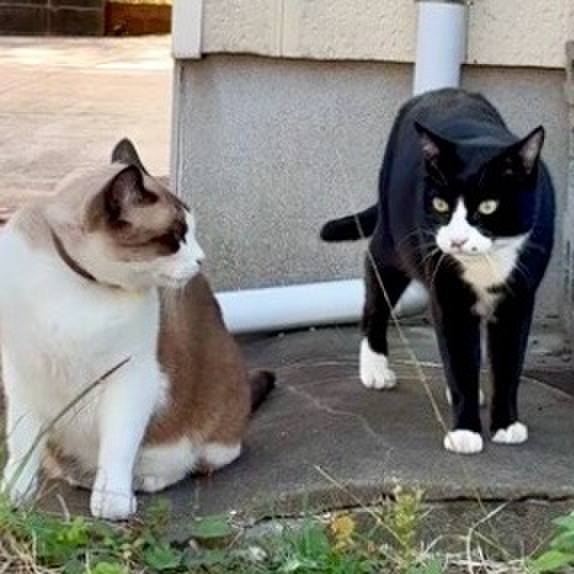 2906f0bf 0f03 4c90 b4b5 28c66e0127c5 1763887282905