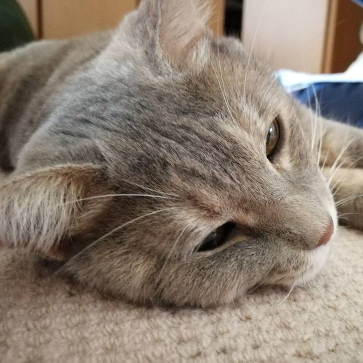 29072683 e36e 42a3 ba1f af468ccea52e 1535154309454