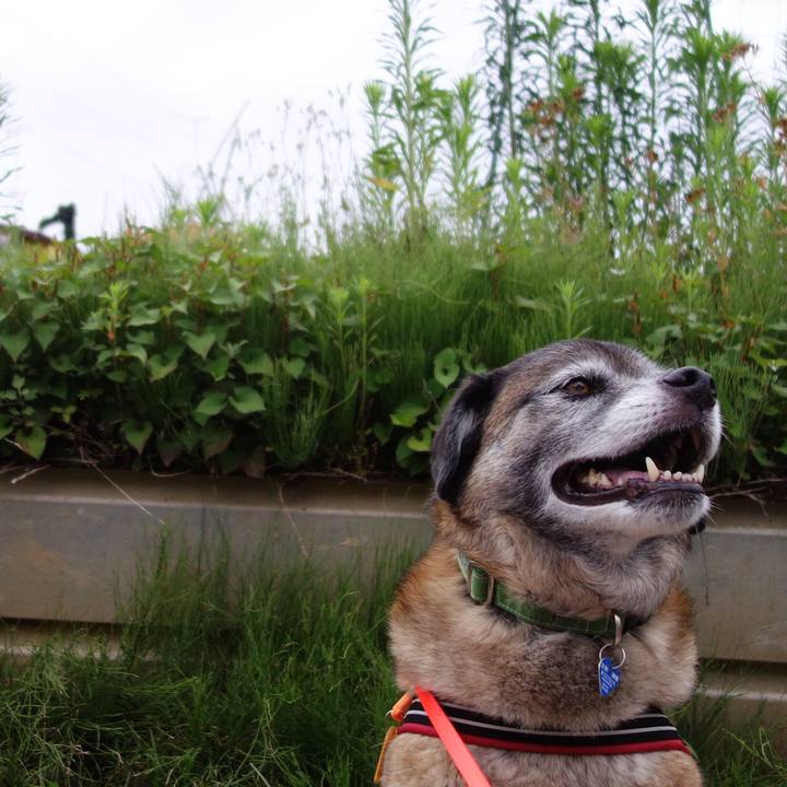 29073ba2 edd8 49bc 9472 9e2a8ba00571 1528594475336