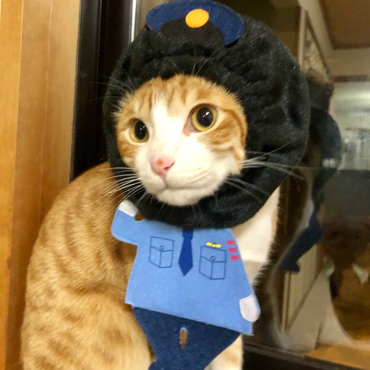 290743cb ca3b 40ac 8abb 16cf530cc576 1518613093868