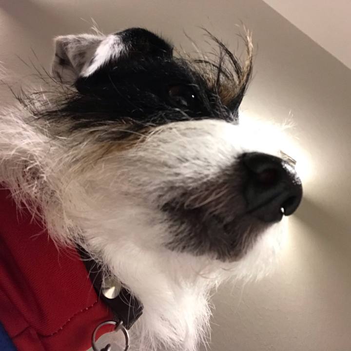 290750d3 cd3b 433c abd1 82de589d2c21 1542889553741