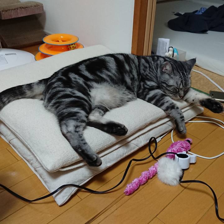 29076e43 1802 4924 bffa b8281b47741b 1559565035135