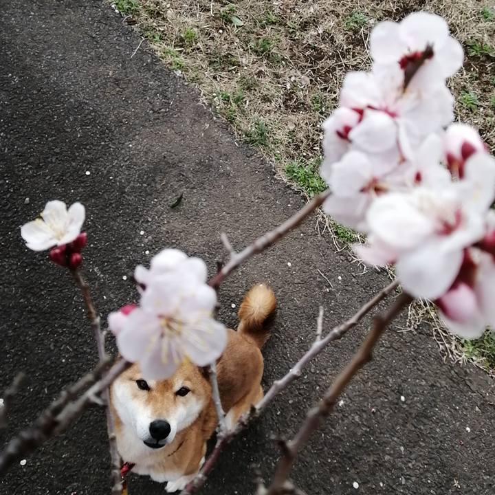 2907a032 8de7 4d1c 9b7e 92daf1590c54 1582784302592