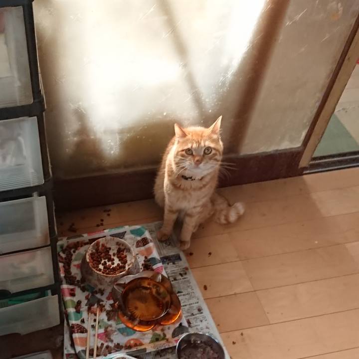 2907c0d2 e4ad 42c1 823b 56d5a2c9f84a 1656624189490