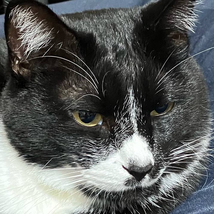 2907cfac 5c52 4058 b1a3 c5b7d9591829 1699669616829