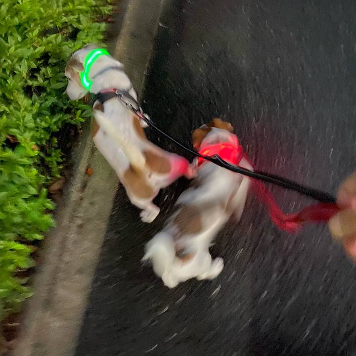 2907dd0f b134 4672 98a9 083cf194f09b 1624103060253