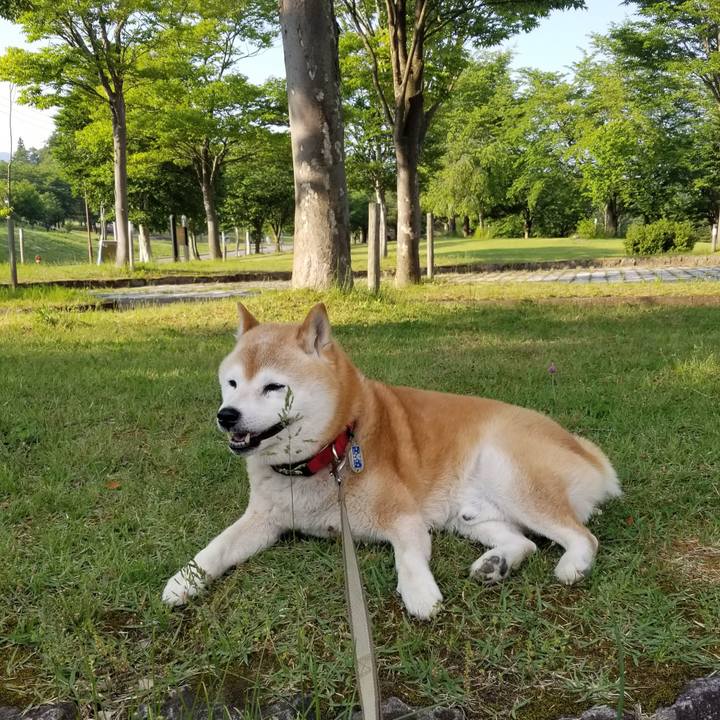 2907f7d9 0885 400e bc91 670d11326629 1717229089147