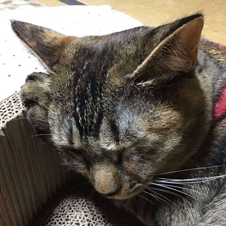 290812e0 b81c 4fce a0a6 9aca2b5a842b 1603622053626