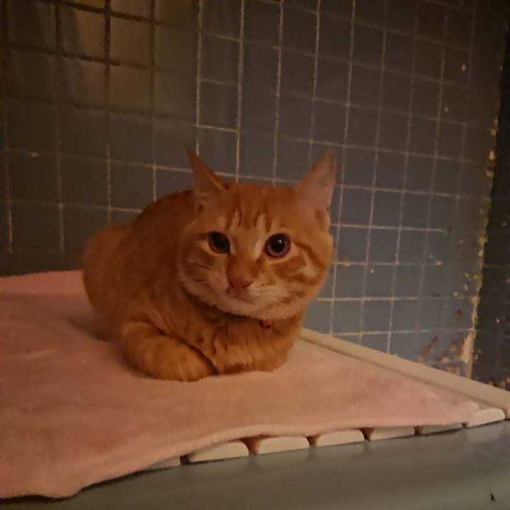 29081a9c b842 48ff b44c 73f5256a573c 1635501224646