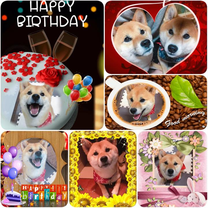 29084146 0c17 446a a45d 0030292c9311 1593619197282