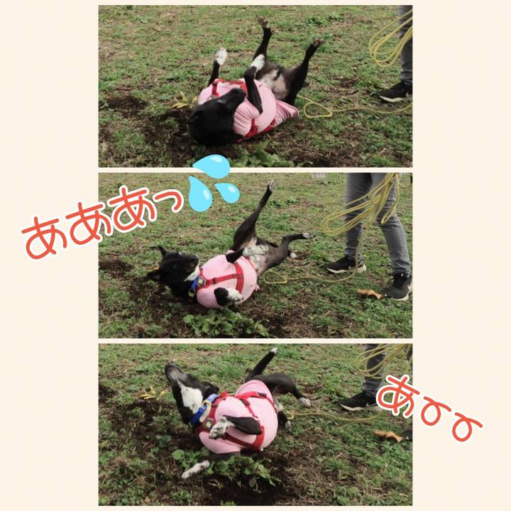 29084fb1 cca2 4c89 ad40 b28b45ff72bc 1670029945848