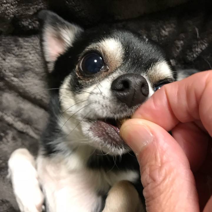 2908b440 bf3f 4da4 8355 b30cbbb21b2f 1517040279131