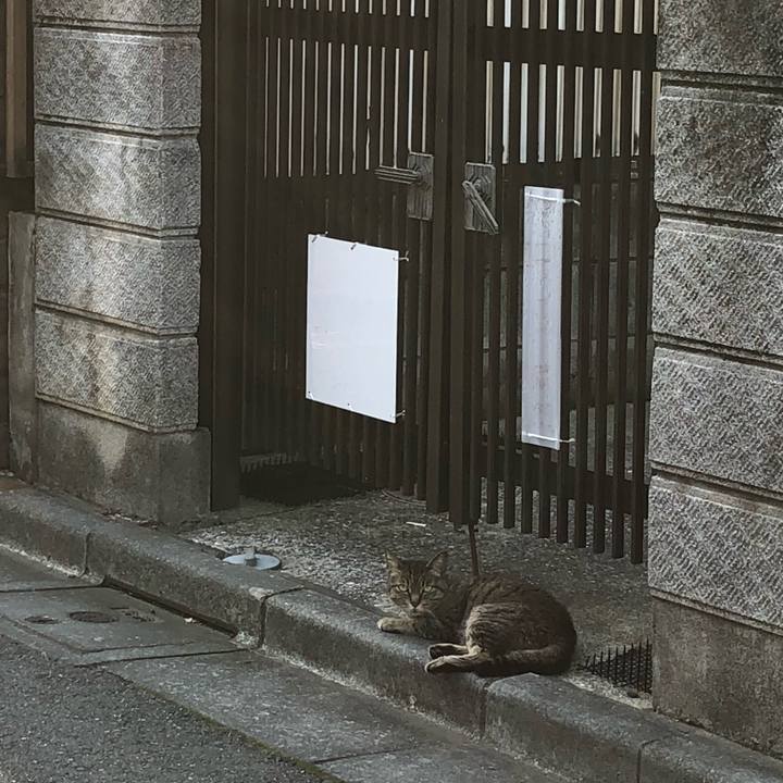 2908b449 f4bb 4114 be54 0bec68c8c0a2 1529687410124