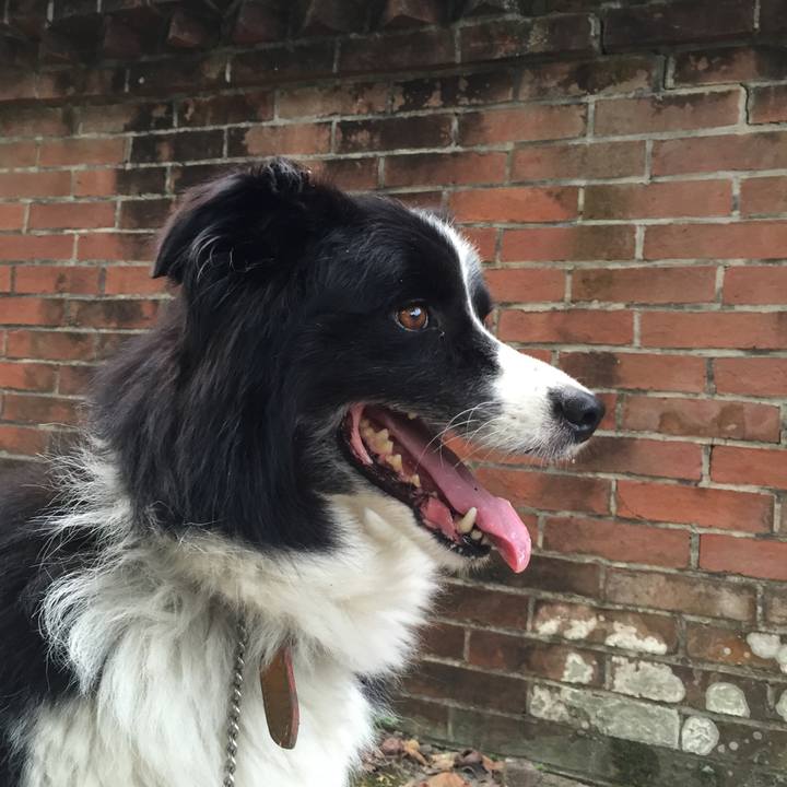 2908f983 d6d9 4510 b15a 5f20a8a3cfb5 1532207398494