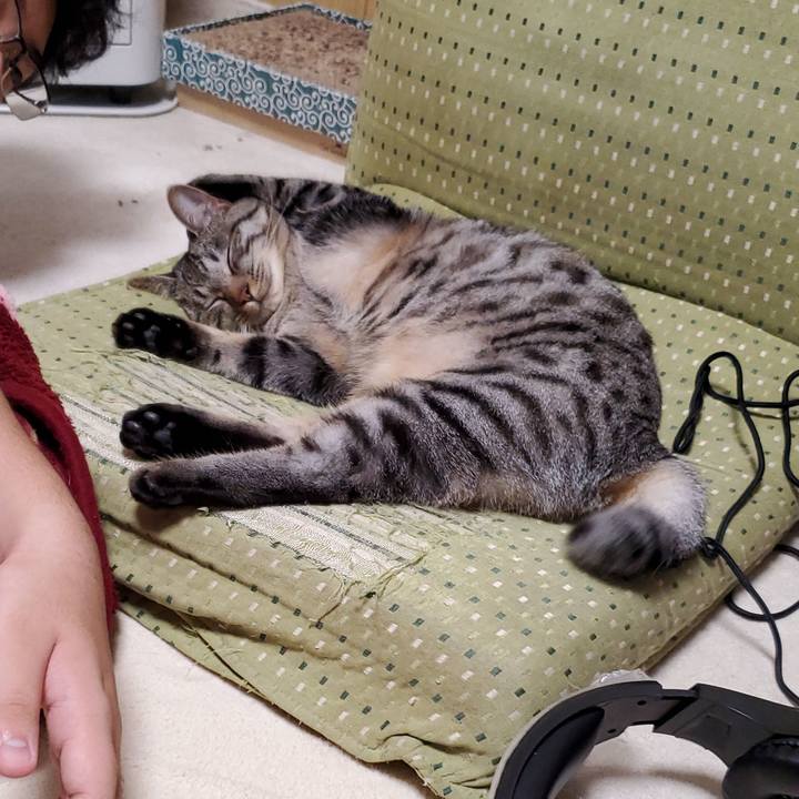 29092c23 0e0d 4ab9 87c7 595b16363ec6 1697096054022