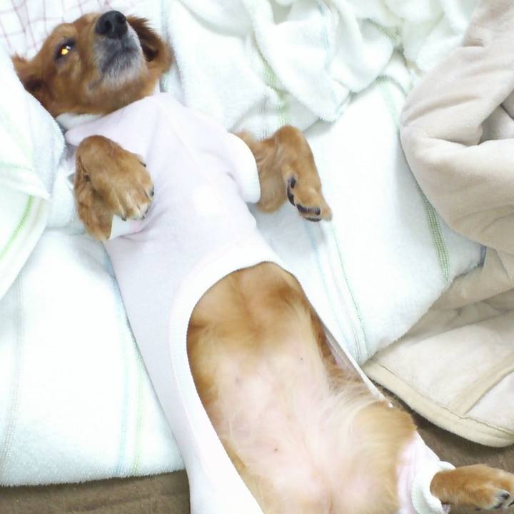 29093c64 b1c7 4453 b12d 113feec22aef 1554230131858