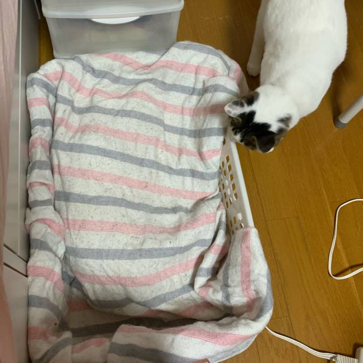 2909657b 63b1 4a85 8358 4ac57d5ea984 1589020305608