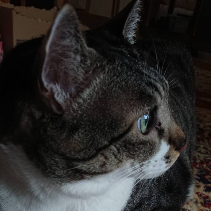 29096cb9 59bc 4413 a132 9103837cbc5a 1543786433991