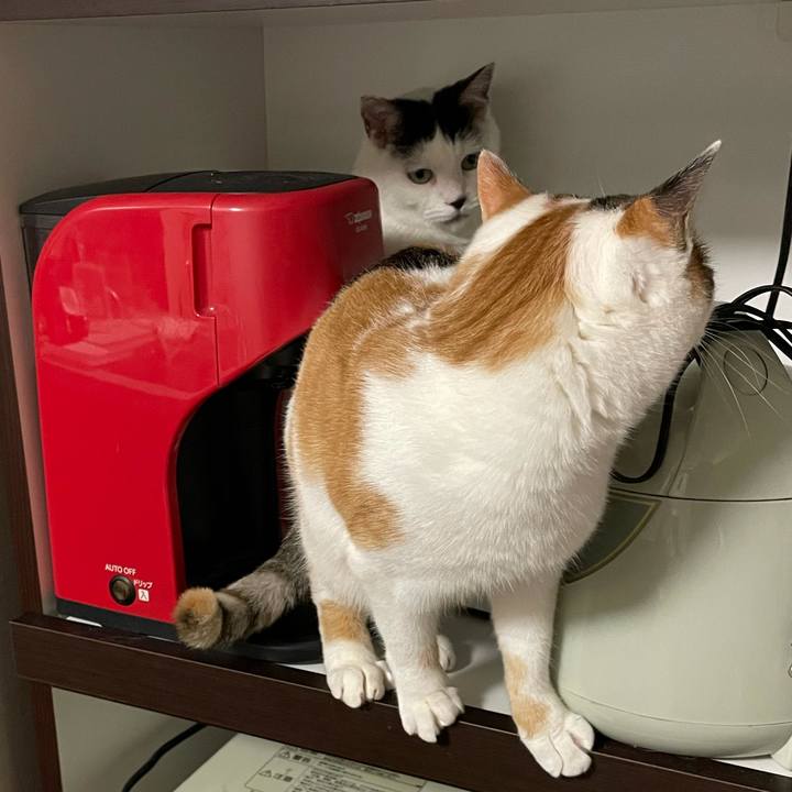 29097271 a993 485a a3ac dfa4903624ab 1606920729153