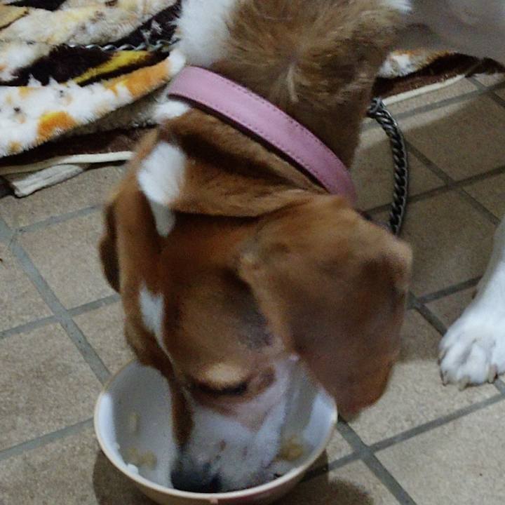 29097b55 c8d9 42a0 bb82 86b65302cf68 1577184032693