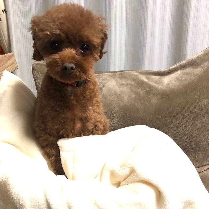 29098033 7644 40da 95eb f7009a0248ba 1578211215275