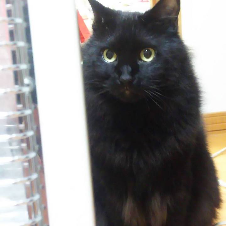 29098e74 922f 403f a880 3480f5226d4d 1571233512826