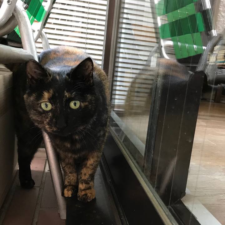 2909a5fe 121c 4326 93ac b02298fd5c20 1512529886206