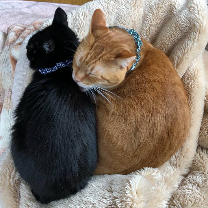 2909b7f3 b885 4c67 b7be e5a4d4410d8c 1559978298533