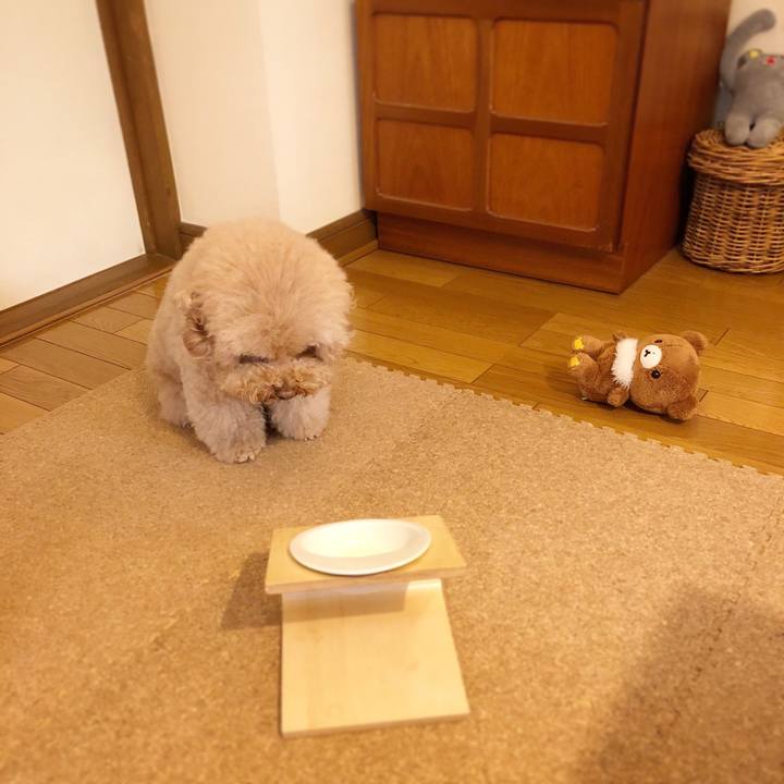 2909d171 7e00 4f91 8f8a 10f272ff1daf 1513935719244