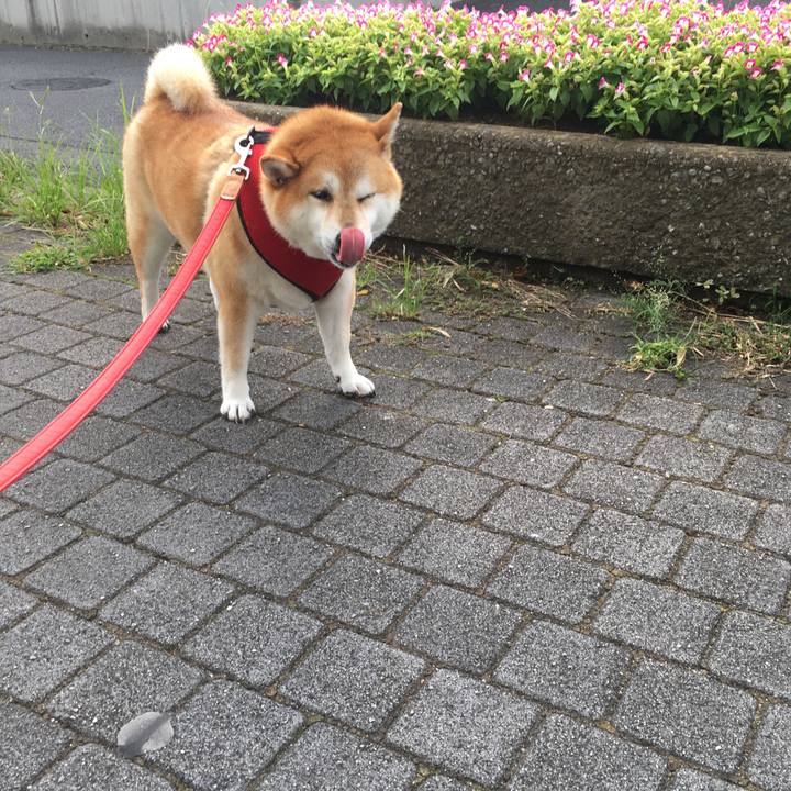 2909fc12 8648 46bb 9c79 640f4c09642d 1600473846241