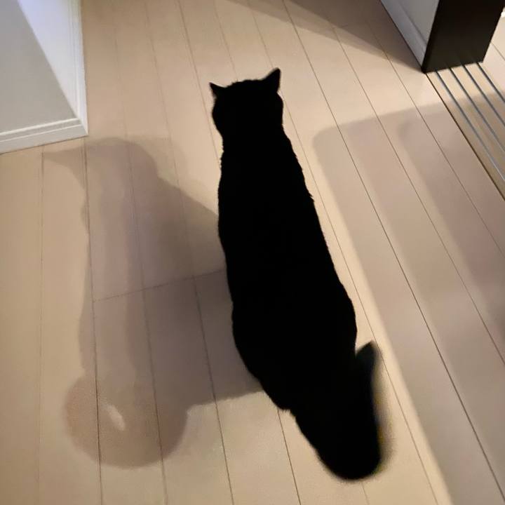 290a0eed 58a4 48a1 912a 722bb2f93f80 1710070361003