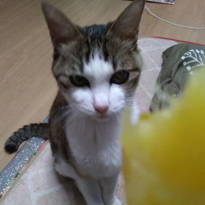 290a4062 0d4d 47b2 a50a 42241ec64525 1543665713032