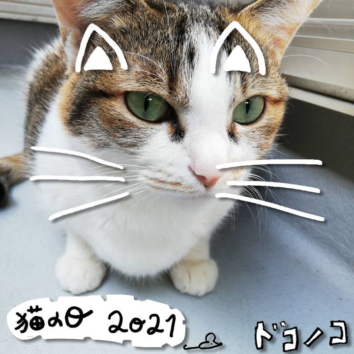 290a601b cdcc 4556 b07b aac96a1dc739 1613966622004