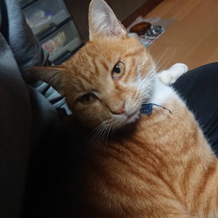 290a6da9 599b 42a0 a5f5 9945639f20d3 1603829227595