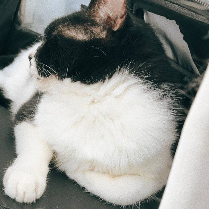 290a80fe d99c 433f a368 111e0eaf9fac 1691576070397