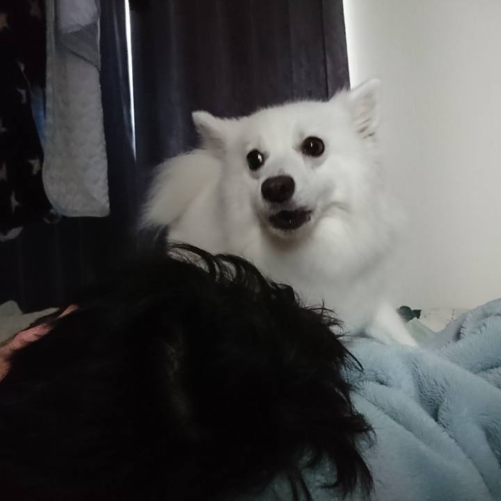 290b06d1 b47f 40be 99df 92c8f2d4f4d1 1596257723560