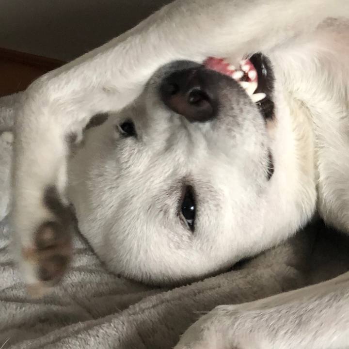 290b32f0 da3c 4d0d b330 f9ddd55d0d2a 1549080924392