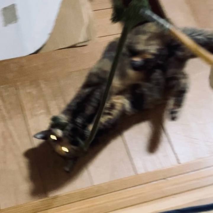 290b4998 01dc 4b7e 83ea 9ae15c3cdd63 1733512135070