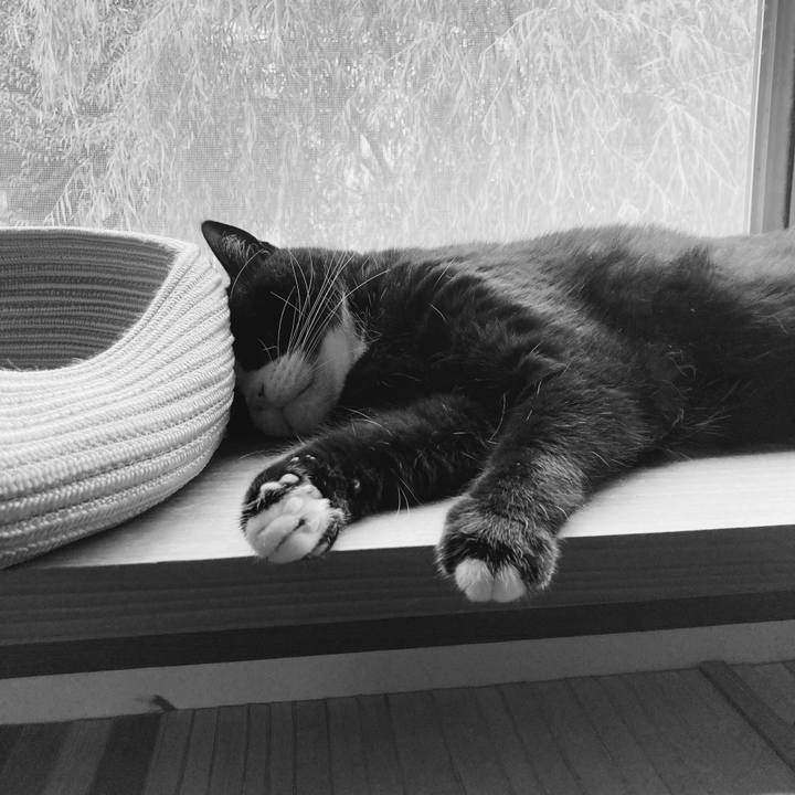 290b6aa0 b5b3 47e9 b0c6 2a9a30e79cfa 1599872303832