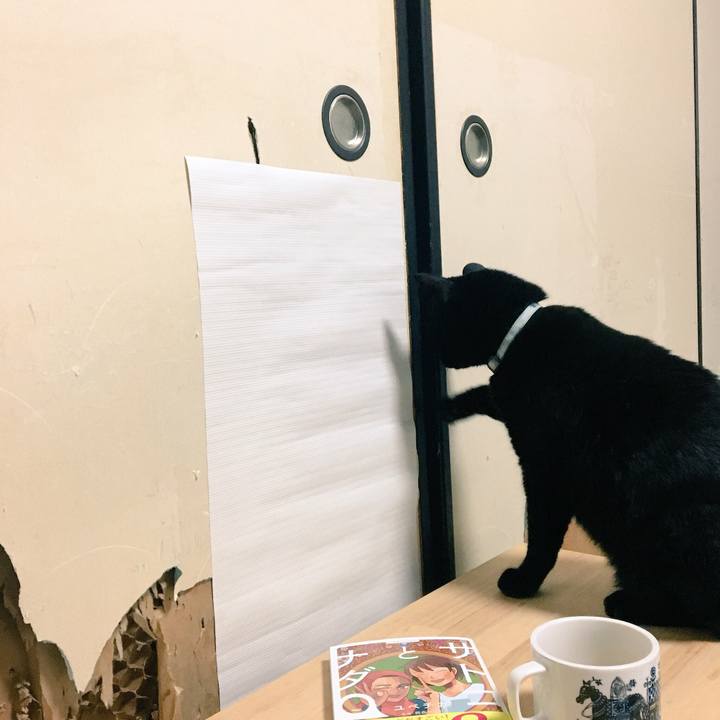 290b91d7 ebff 4195 a491 ebd5e6757581 1519731827040