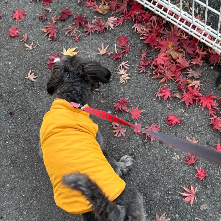 290bae14 b5ea 497d a3fd 4d2a59a9cfb7 1763631802825