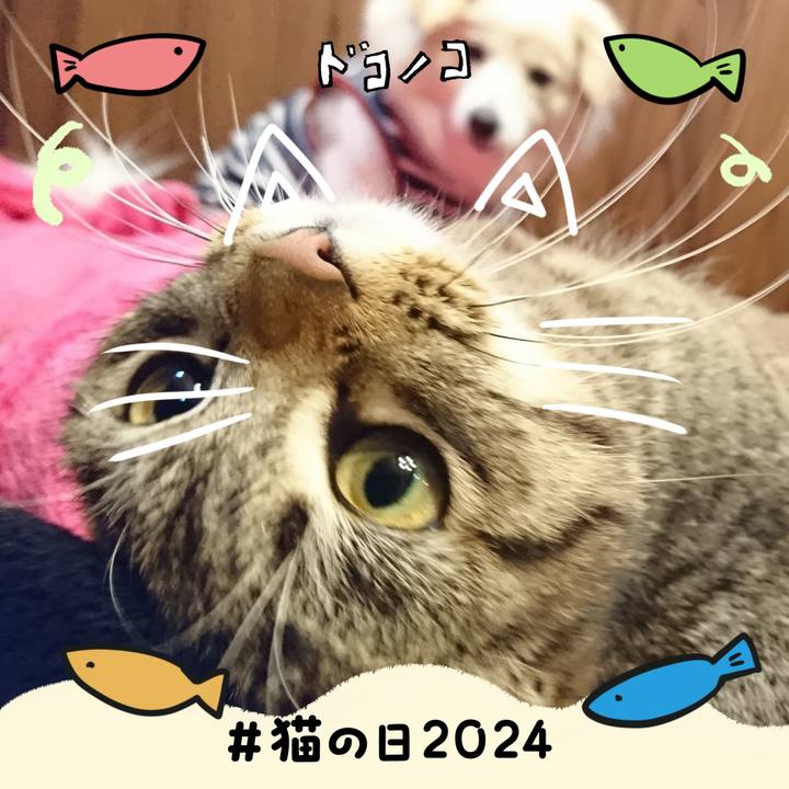 290beafe 0a02 427f 8184 a695067ad115 1708573797986