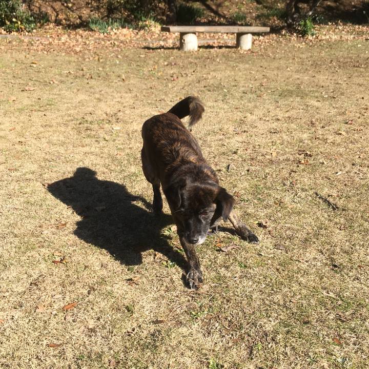 290c0b21 2ccb 46be b3e0 dd55418f8094 1514524475324