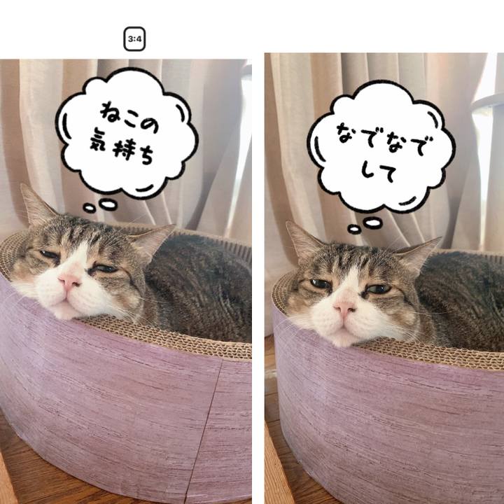 290c23ed 8392 4268 9607 541708696a2a 1626138176888