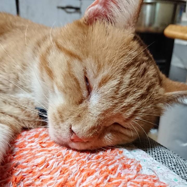 290c308e cdf2 4e1c ae1b b5385e1e6b74 1568161037219