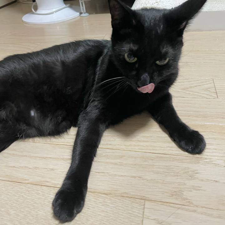 290c61f4 16f0 4307 b9f5 87a4db78436b 1727266750736