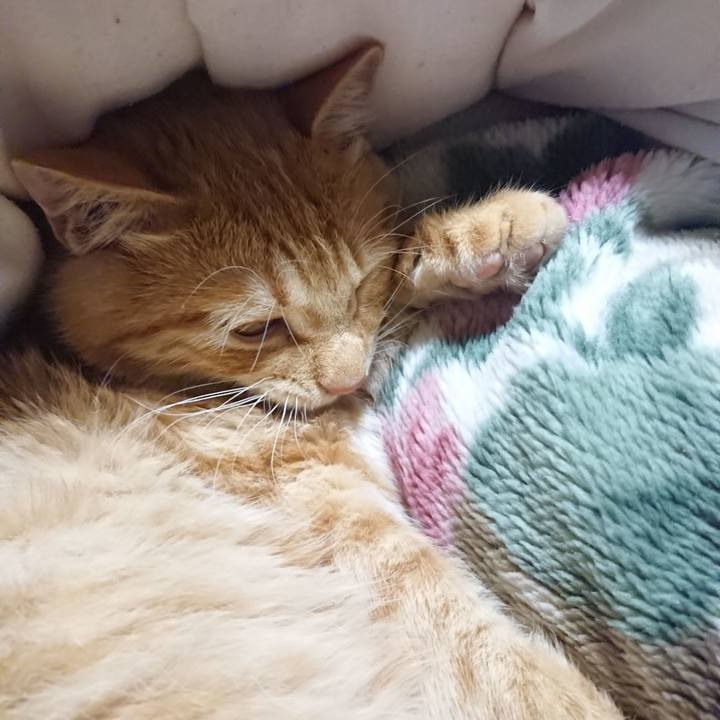 290c67e1 dbd6 4573 a3bb b60282a6edb1 1636632340797