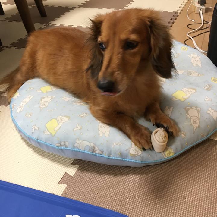 290c88a9 3b68 4842 ab89 de5f8c06cdab 1536843997421